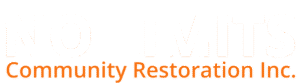 No Limits LOGO