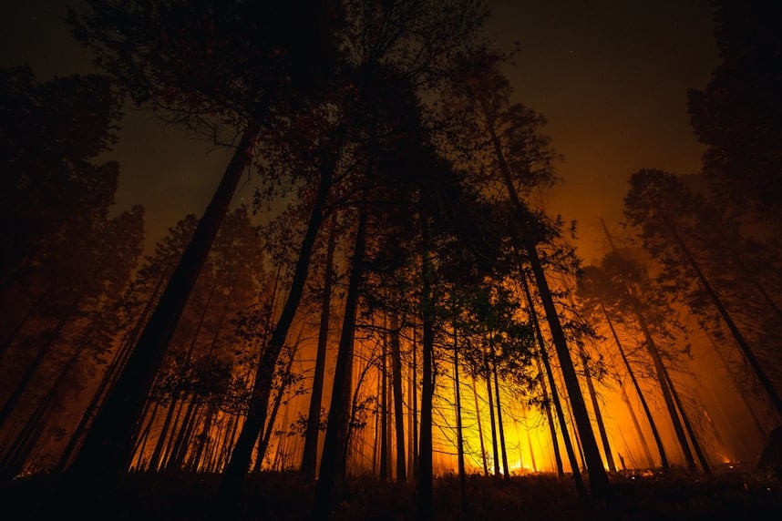 From Fire to Foundation: How Communities Recover Faster Together | Recovery Stories